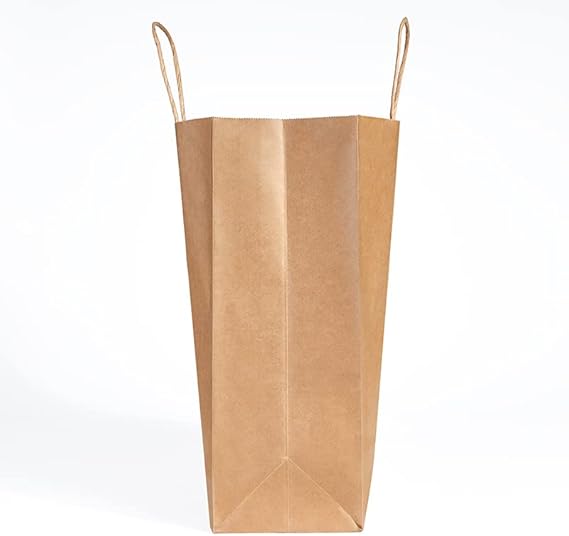 Watson Distributing 12.5" x 7" x 13" Paper Bag Round Handle 250/Case