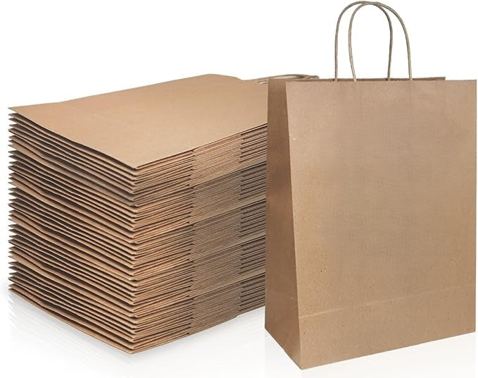 Watson Distributing 10" x 6.75" x 12" Brown Paper Bag Shopping Bag With Handles 250/Case