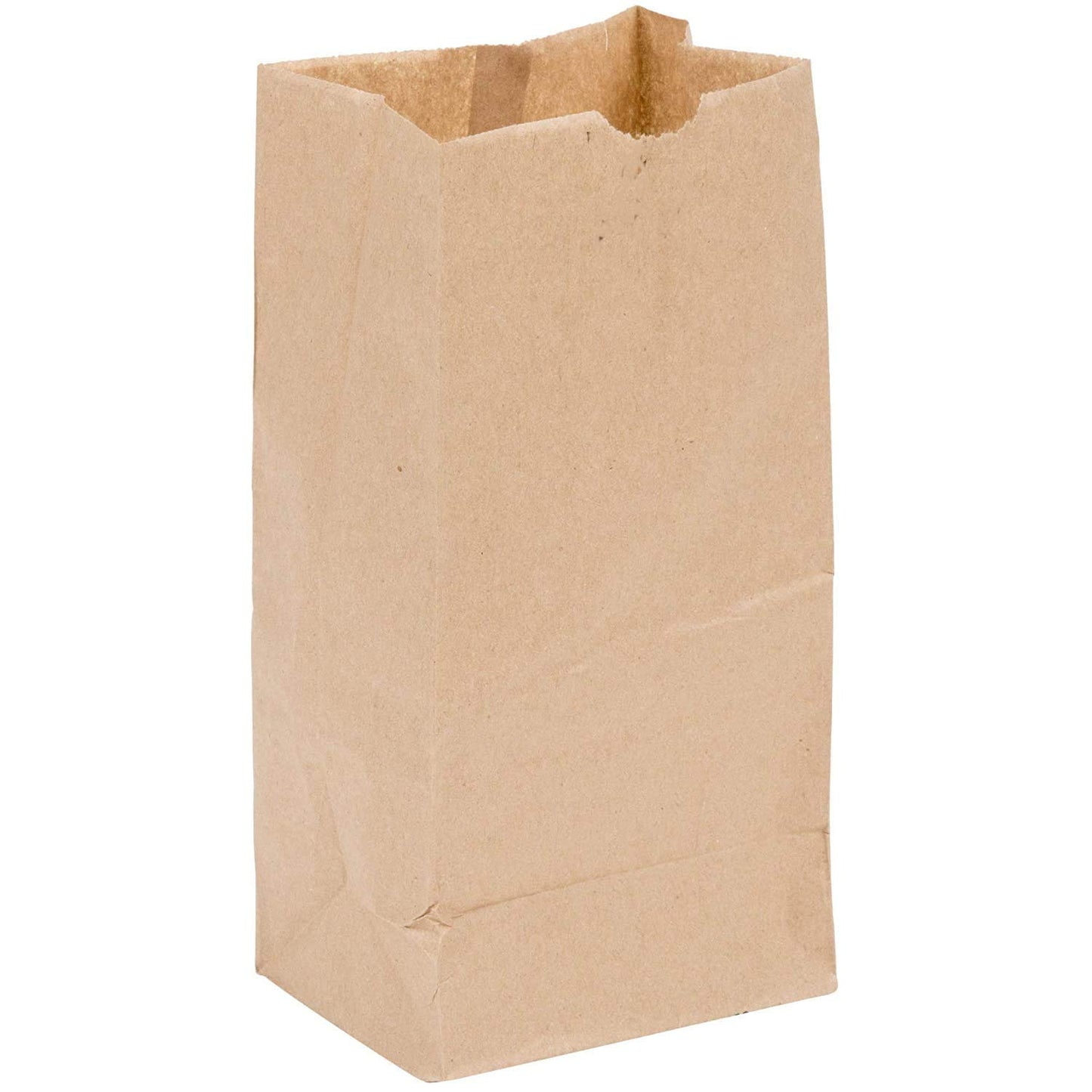 Watson Distributing 2 Lb Brown Paper Bag 4.3" x 7.9" x 2.4" 500/Case